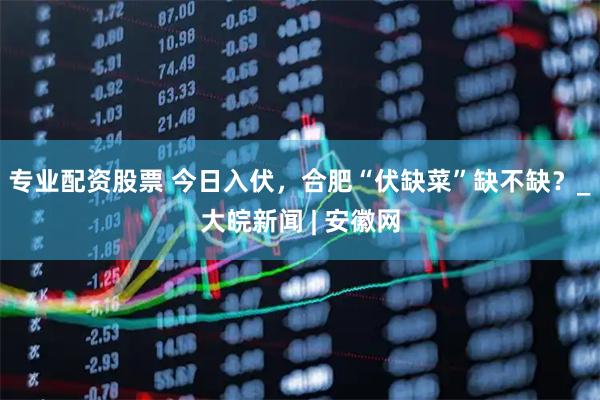 专业配资股票 今日入伏，合肥“伏缺菜”缺不缺？_大皖新闻 | 安徽网