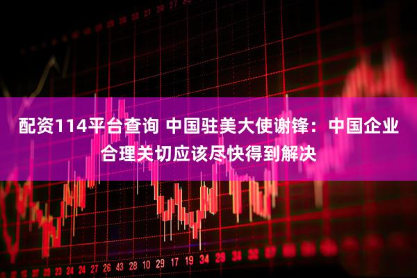 配资114平台查询 中国驻美大使谢锋：中国企业合理关切应该尽快得到解决